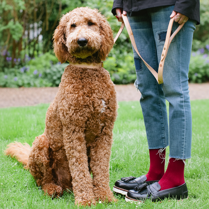 Grenson Premium Natural Calf Leather Dog Lead